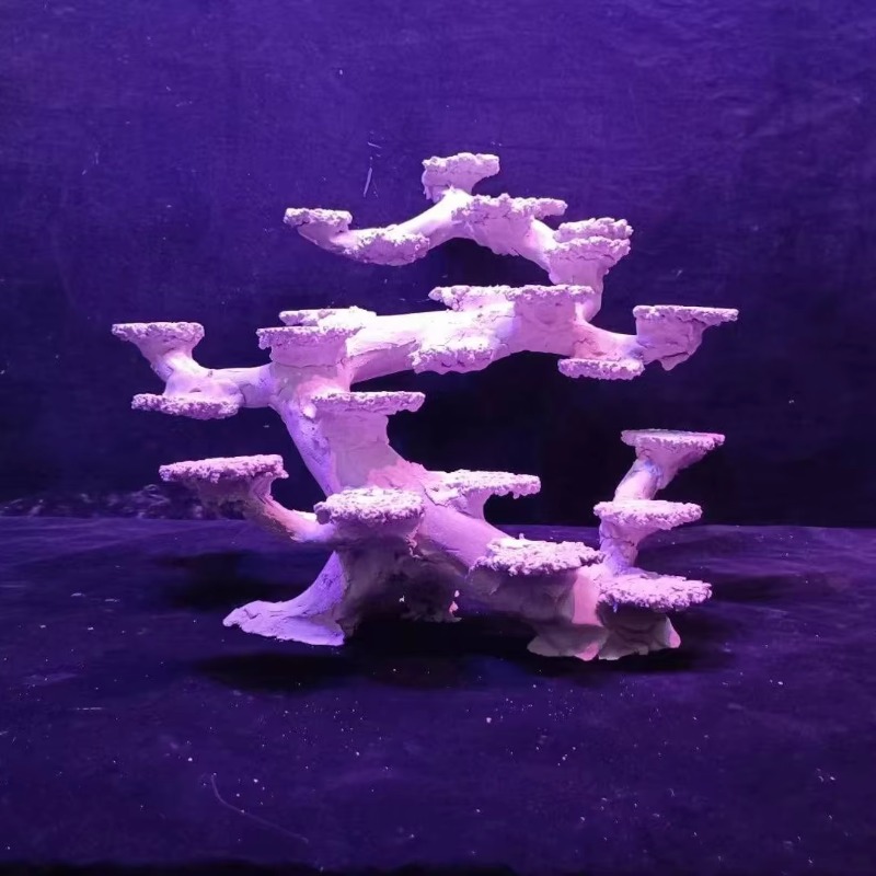 Aquascaping Saltwater Aquarium - Aquarium Marine Rock avaliação e preço