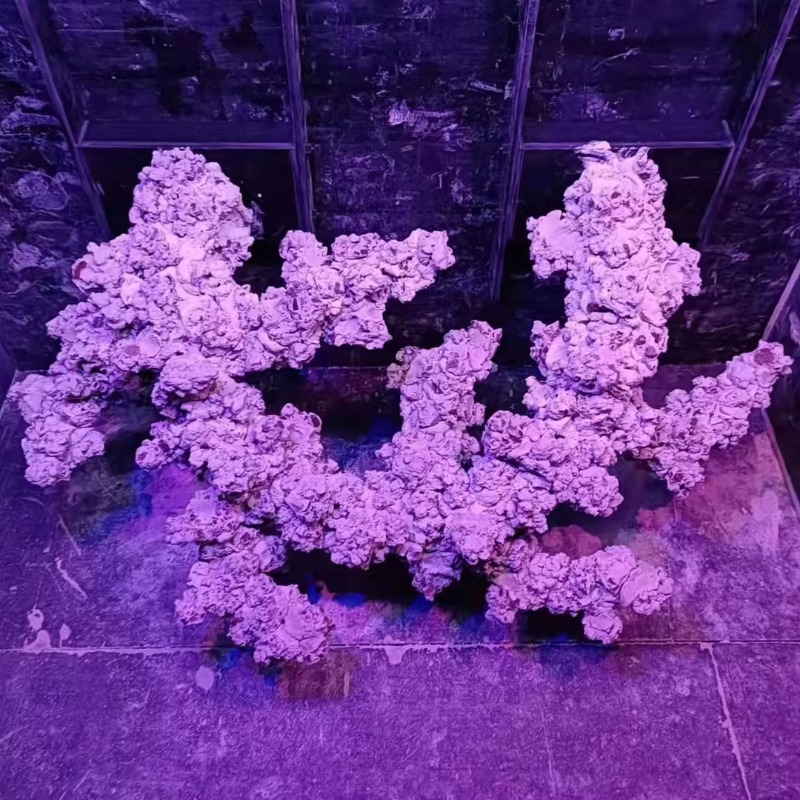 Aquascaping Saltwater Aquarium - Aquarium Marine Rock avaliação e preço