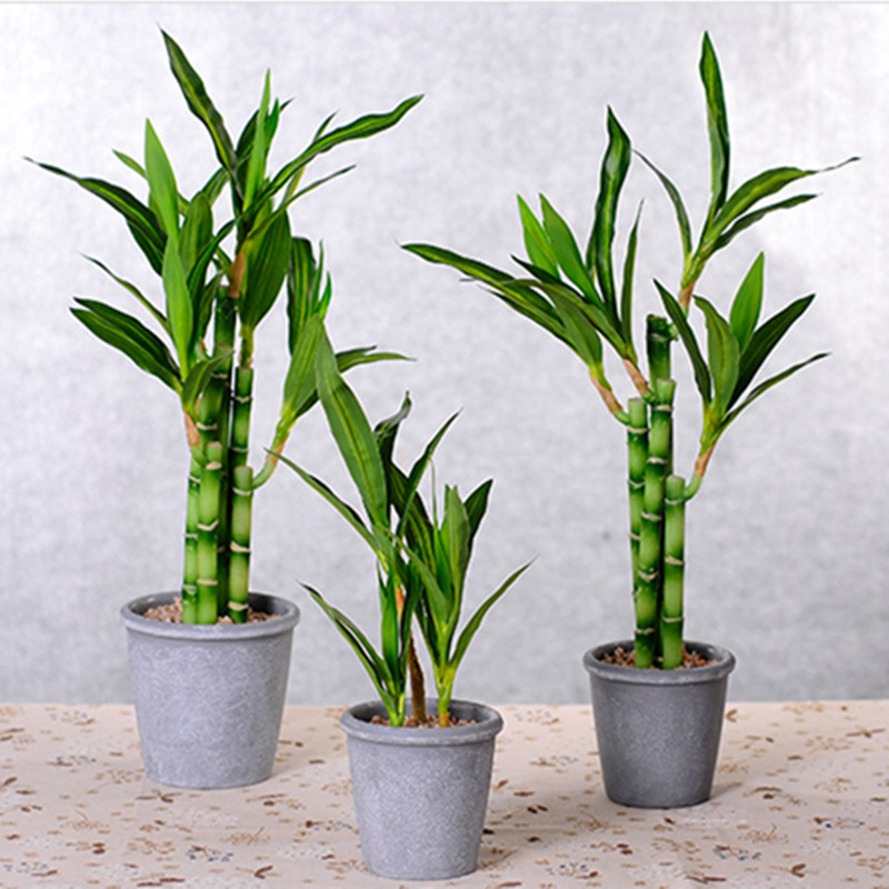 New 40cm rFtificial Lucky Bamb - Aquarium Marine Plants avaliação e preço