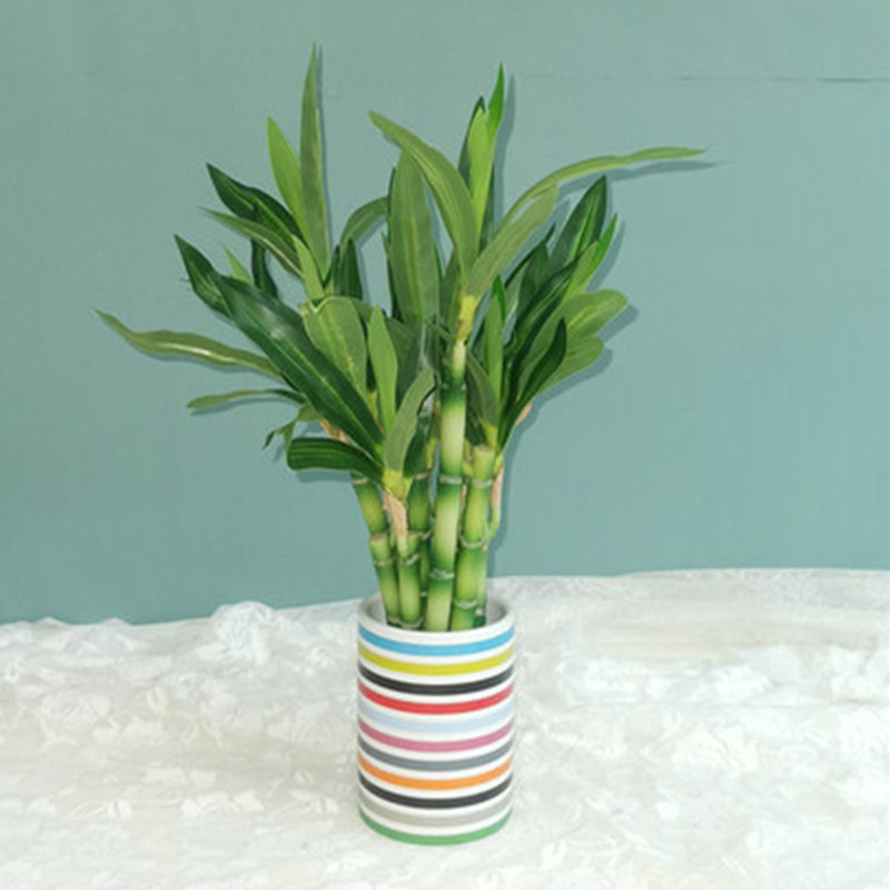 New 40cm rFtificial Lucky Bamb - Aquarium Marine Plants avaliação e preço