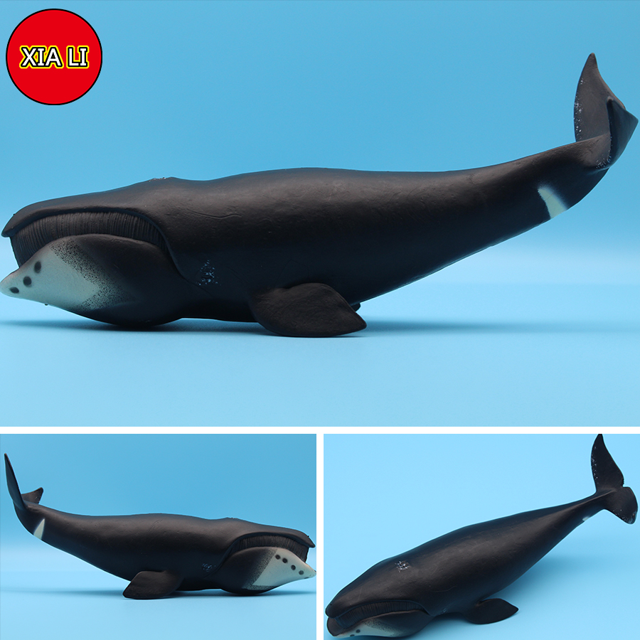 Ocean Sea Life Simulation Kill - Aquarium Marine Blue avaliação e preço
