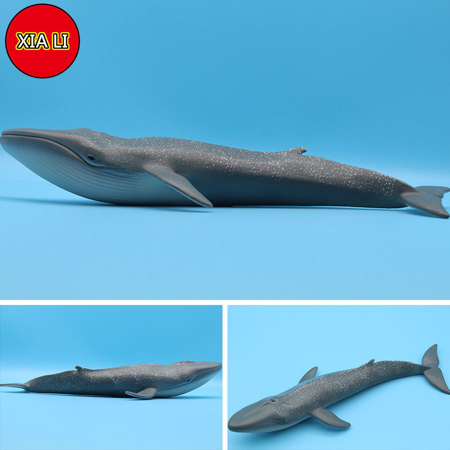 Ocean Sea Life Simulation Kill - Aquarium Marine Blue avaliação e preço