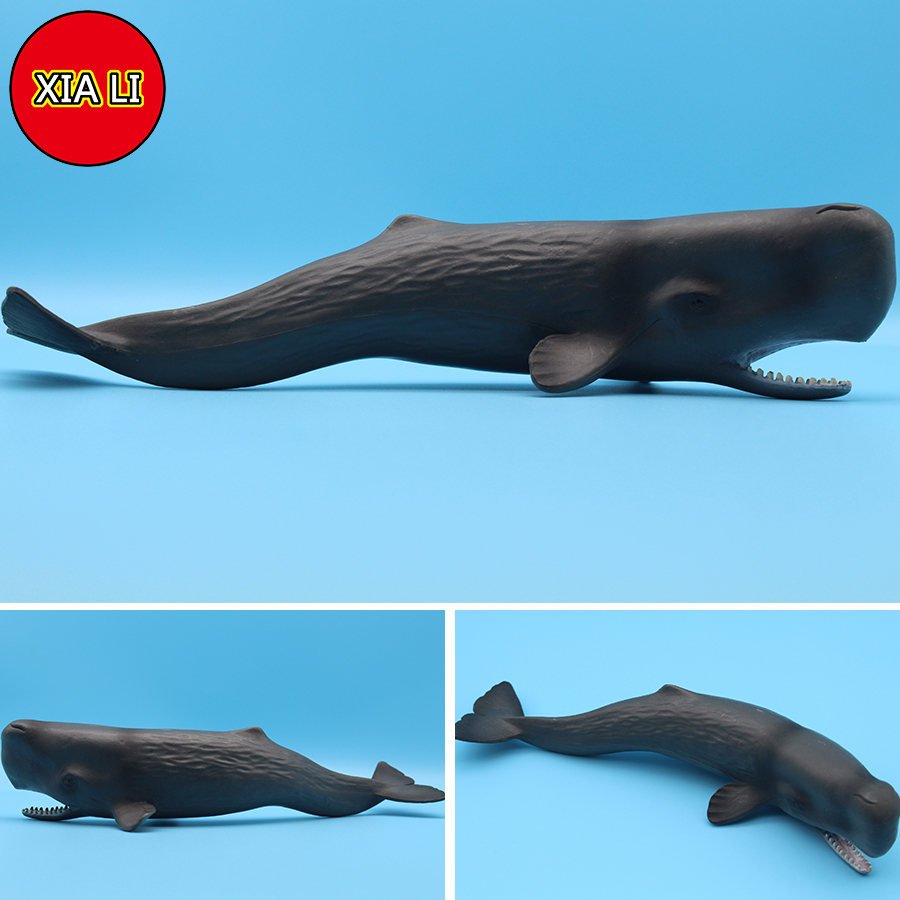 Ocean Sea Life Simulation Kill - Aquarium Marine Blue avaliação e preço