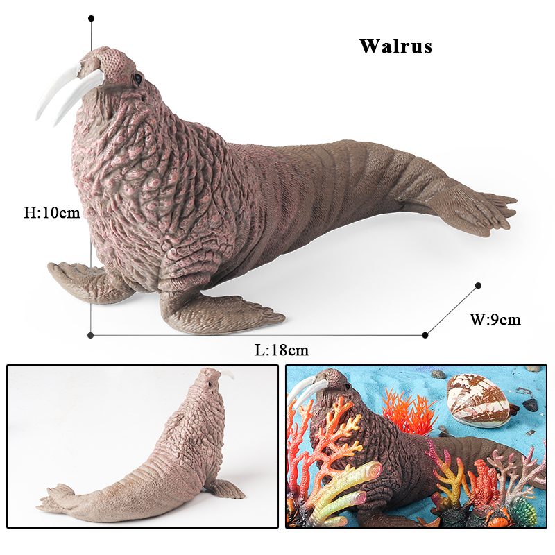 Oenux New Sea Life Seal Sea Li - Aquarium Marine Blue avaliação e preço