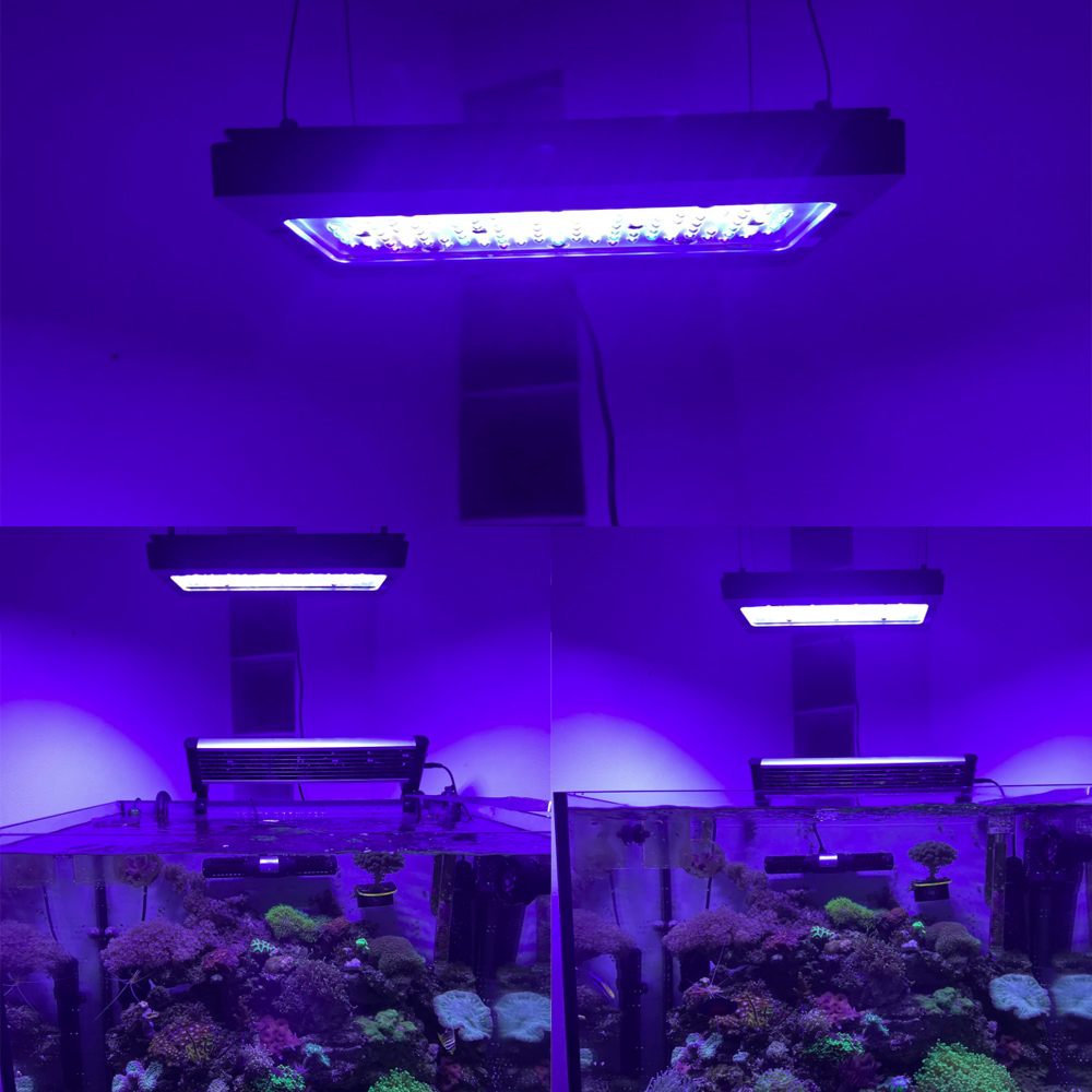 A8SE pro II MAX Blue 240W Mari - Aquarium Marine Blue avaliação e preço