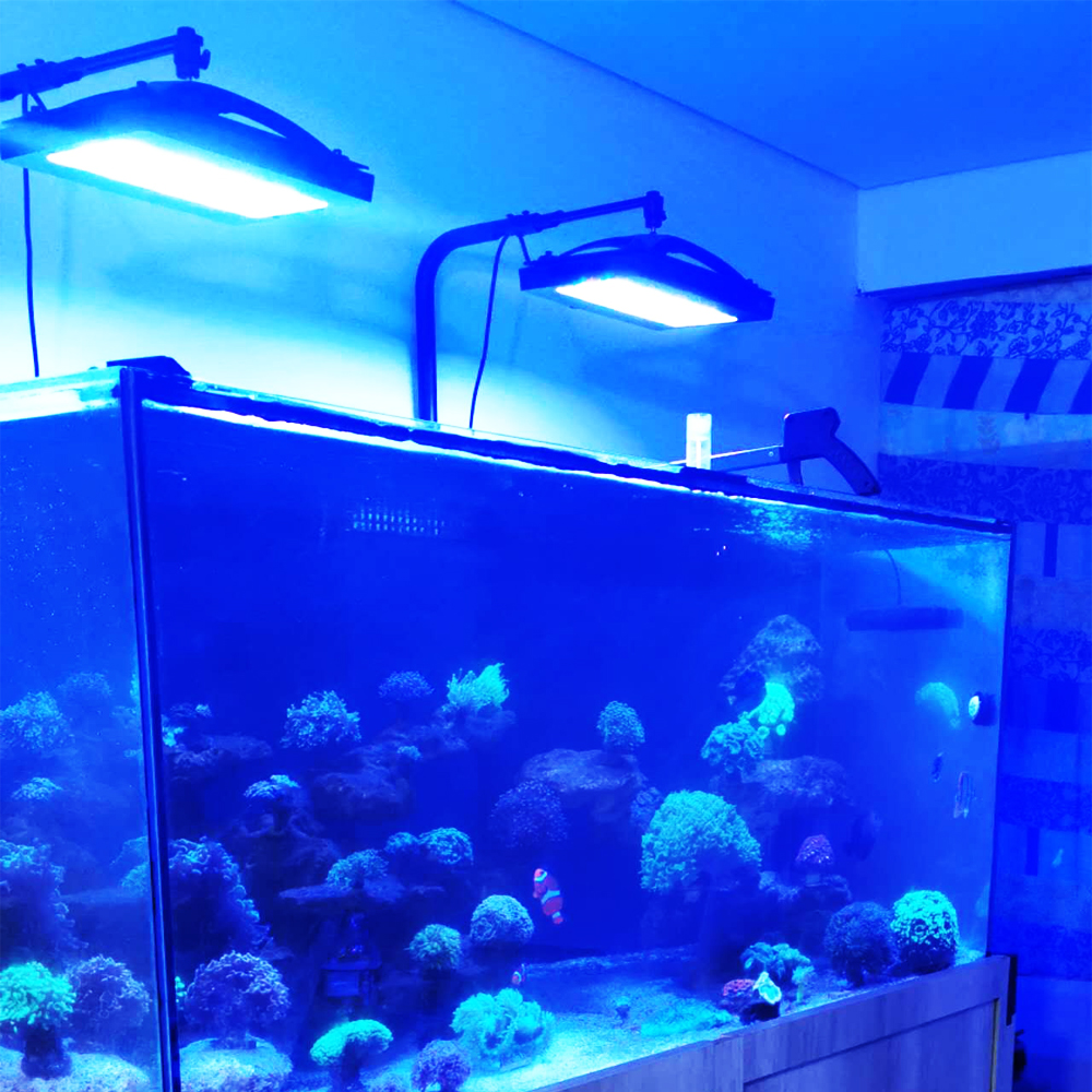 A8SE pro II MAX Blue 240W Mari - Aquarium Marine Blue avaliação e preço