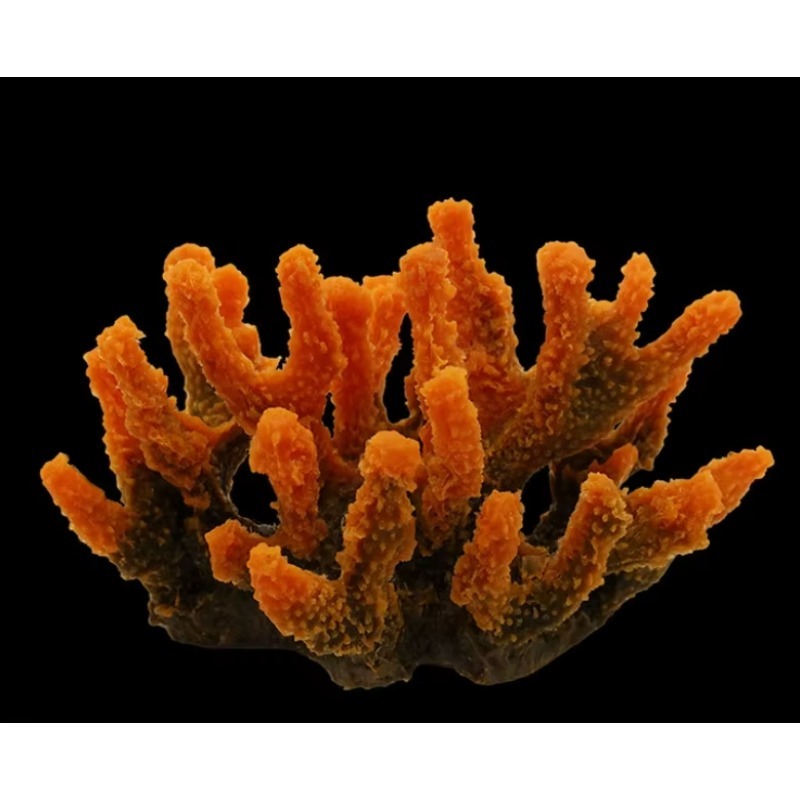 Artificial Resin Coral Reef Aq - Aquarium Marine Rock avaliação e preço