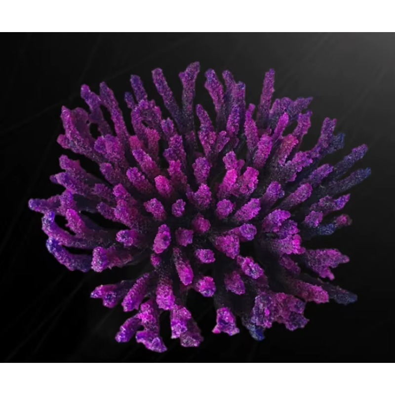 Artificial Resin Coral Reef Aq - Aquarium Marine Rock avaliação e preço
