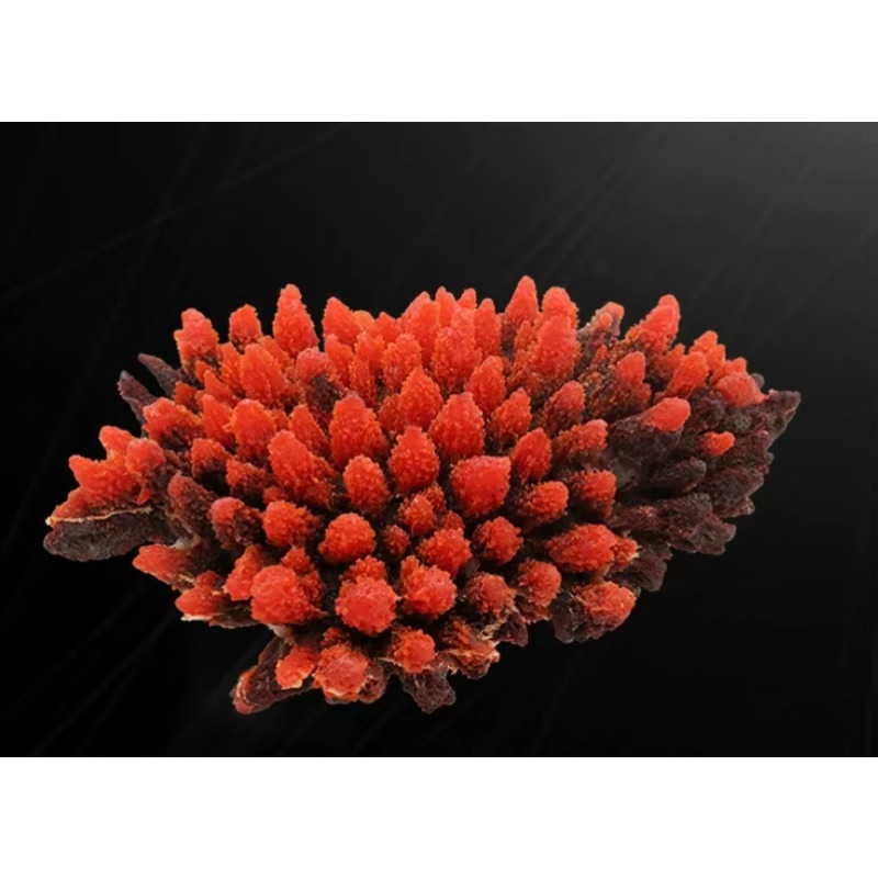 Artificial Resin Coral Reef Aq - Aquarium Marine Rock avaliação e preço