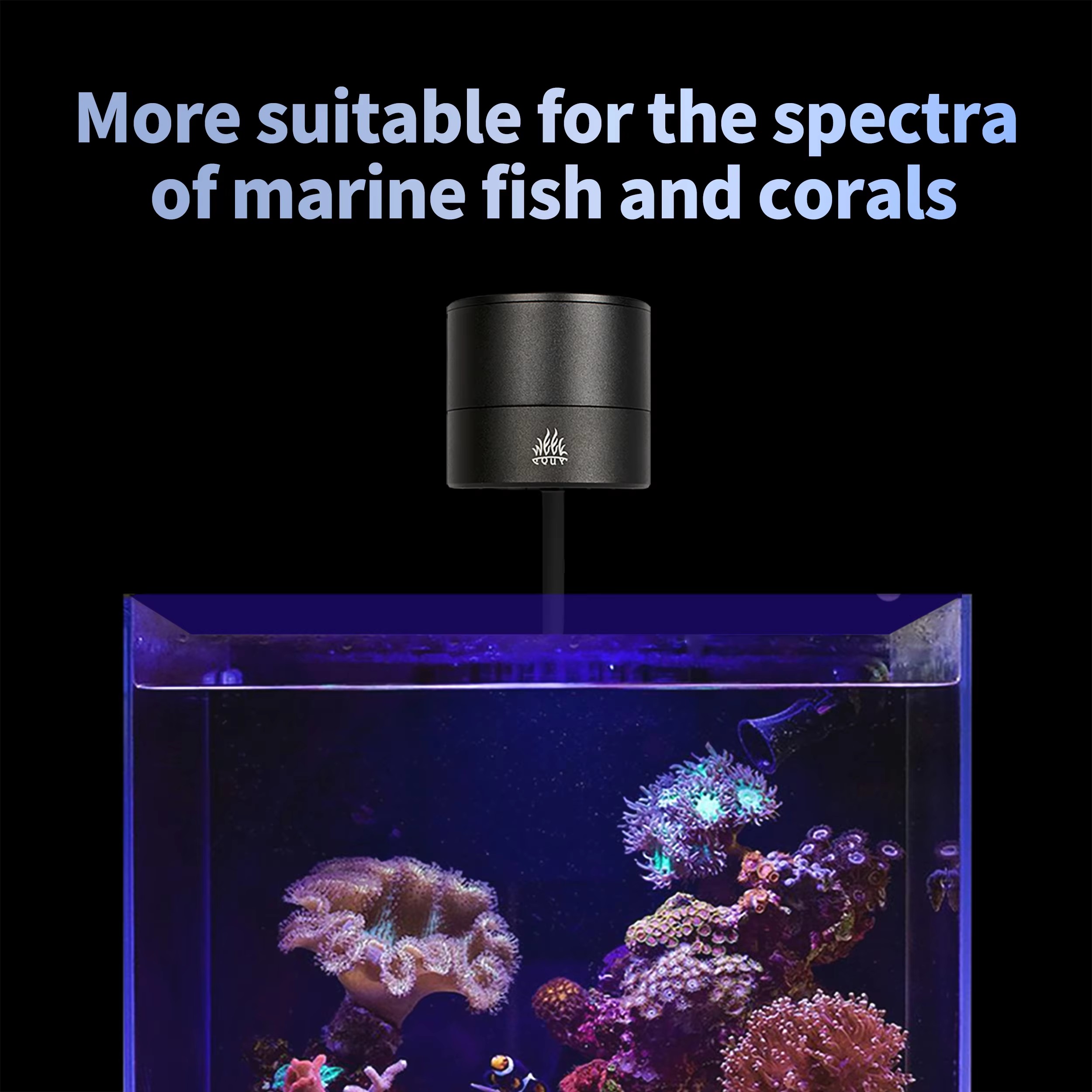 WEEK AQUA Aquarium Light Manuf - Aquarium Marine Blue avaliação e preço