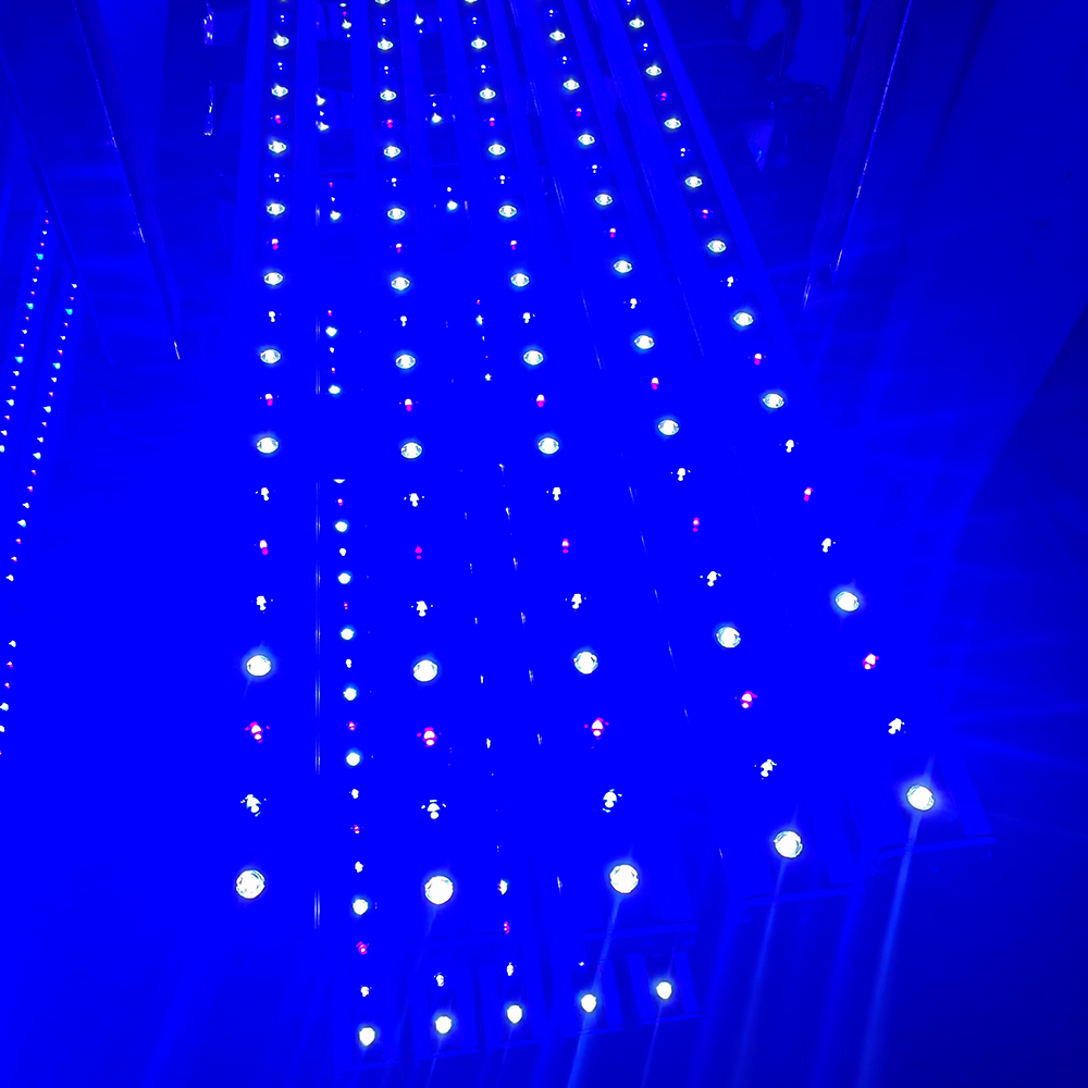 NEO Series Timer Blue Sky/Blue - Aquarium Marine Blue avaliação e preço
