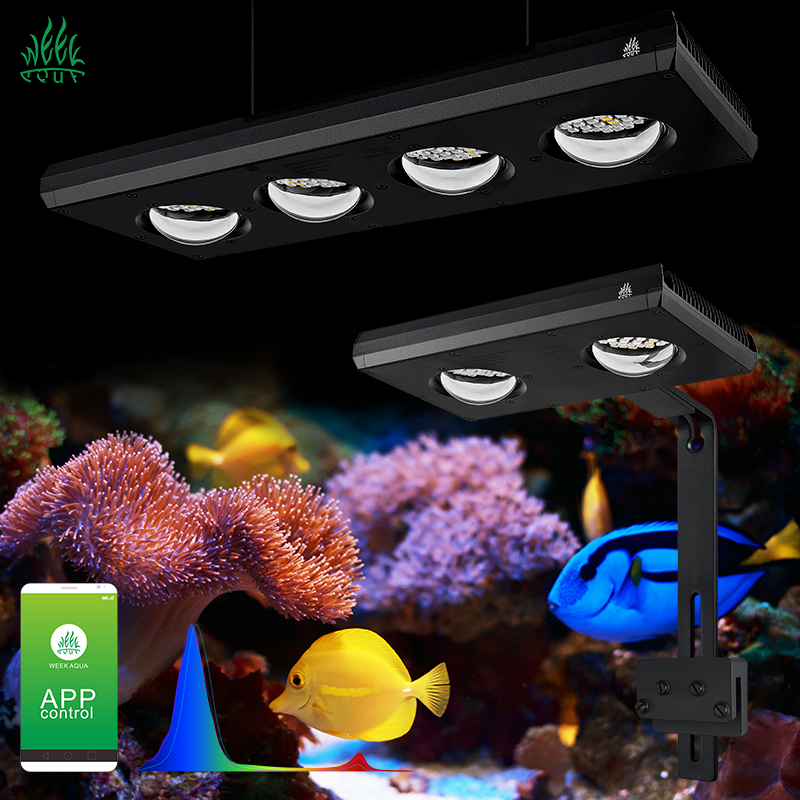ZXY Hot Sale WEEKAQUA Z250 Z40 - Aquarium Marine Blue avaliação e preço