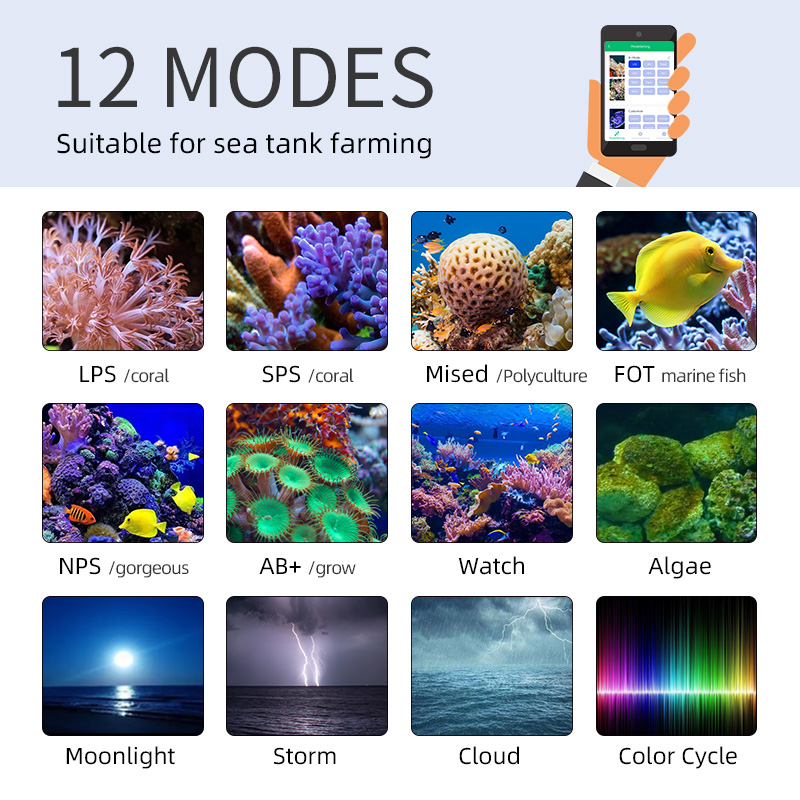 ZXY Hot Sale WEEKAQUA Z250 Z40 - Aquarium Marine Blue avaliação e preço
