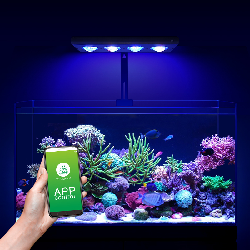 ZXY Hot Sale WEEKAQUA Z250 Z40 - Aquarium Marine Blue avaliação e preço