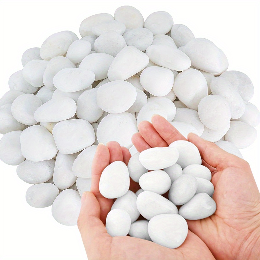 200/400g White High Polished N - Aquarium Marine Plants avaliação e preço