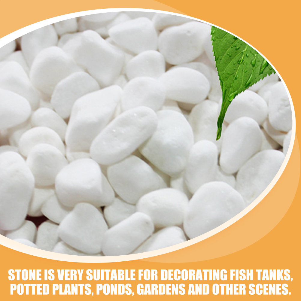 1Set White Decorative Stone El - Aquarium Marine Plants avaliação e preço