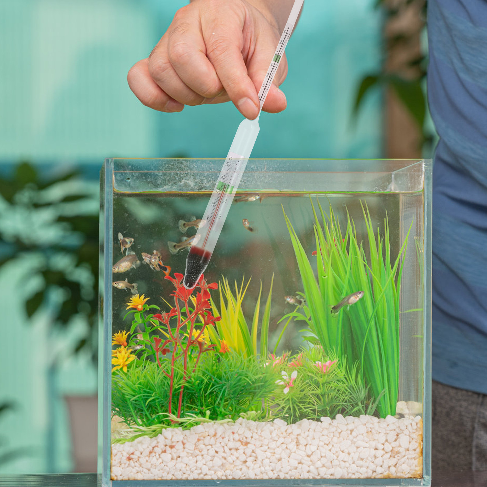 1Set Salinity Hydrometer Solid - Marine Aquarium Hydrometer avaliação e preço