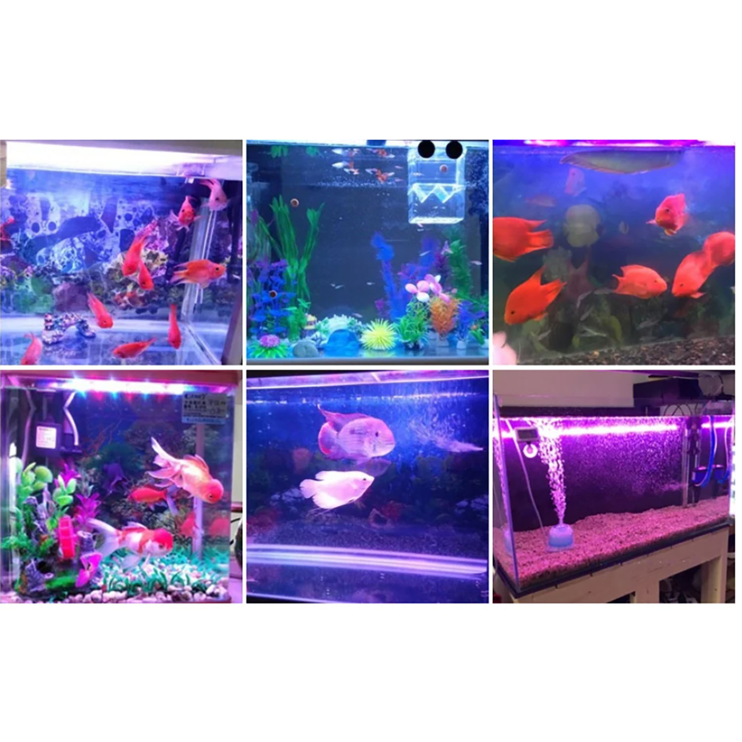 50W 60W 70W 100W RGB 26-28V Hi - Aquarium Marine Blue avaliação e preço