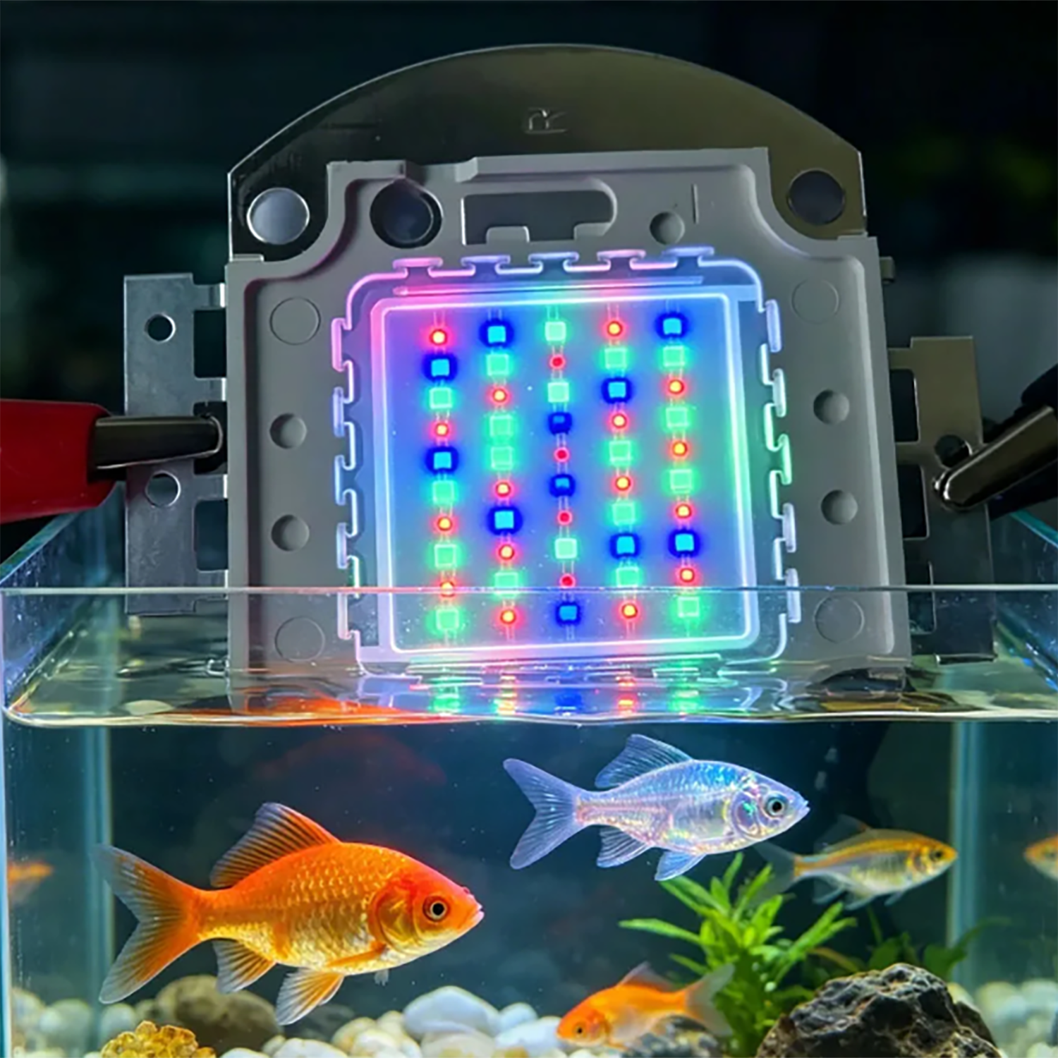 50W 60W 70W 100W RGB 26-28V Hi - Aquarium Marine Blue avaliação e preço