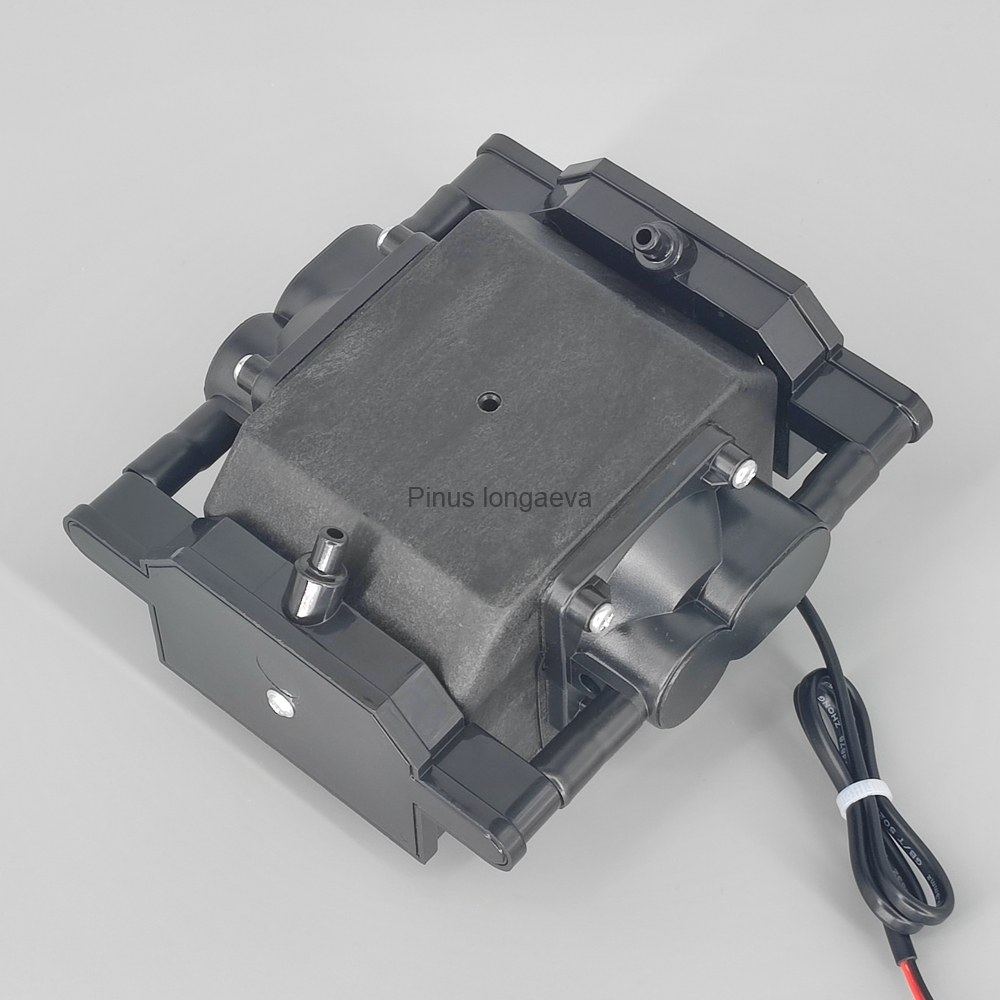Pinus Longaeva 30L/min 30kPa L - Marine Aquarium Ozone Generator avaliação e preço