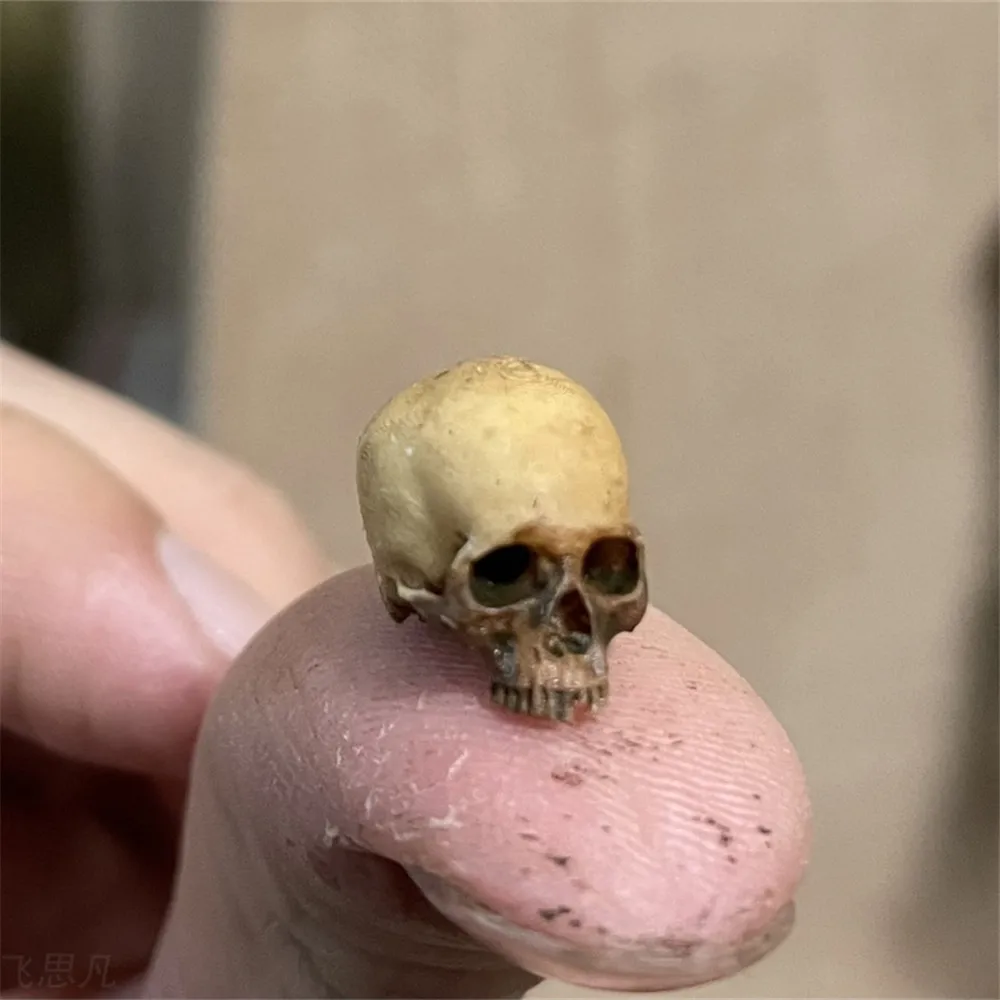 Mini Skull High Quality Miniat - Aquarium Marine Plants avaliação e preço