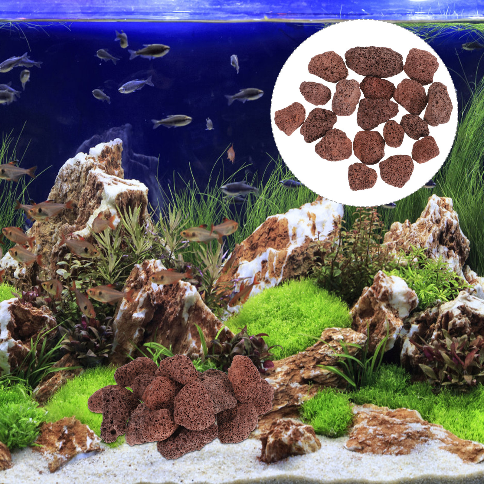Volcanic Rock Aquariums Base S - Aquarium Marine Rock avaliação e preço