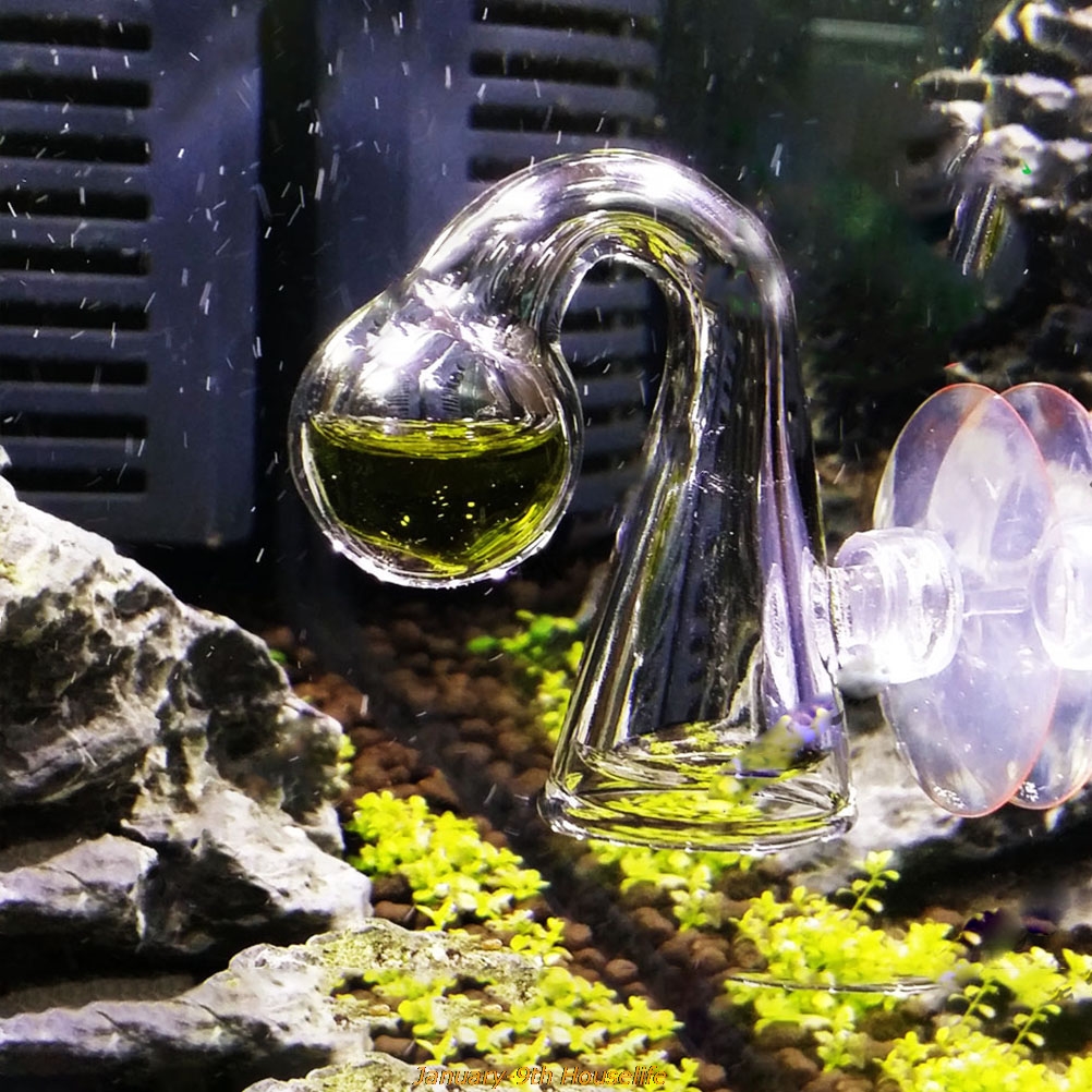 Fish Tank CO2 Diffuse Glass Dr - Aquarium Marine Plants avaliação e preço