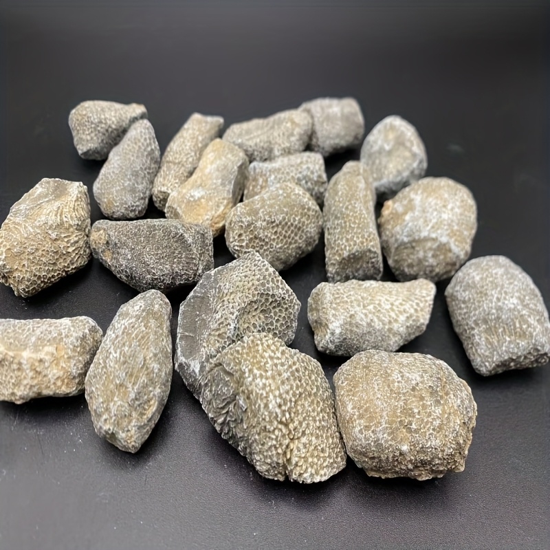 1pc Natural Coral Rock Suitabl - Aquarium Marine Rock avaliação e preço
