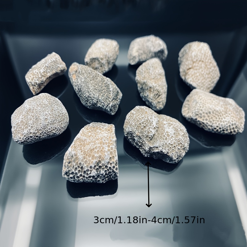 1pc Natural Coral Rock Suitabl - Aquarium Marine Rock avaliação e preço
